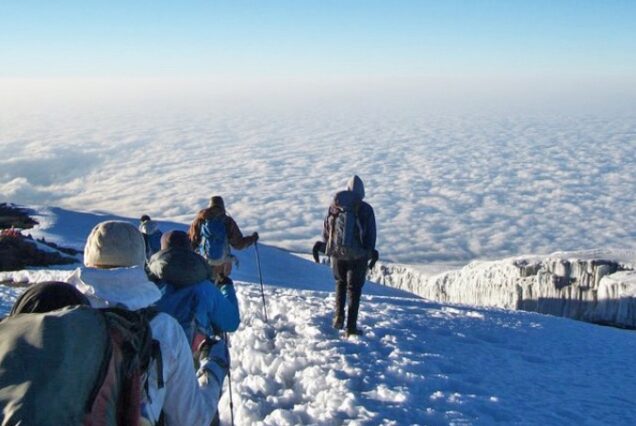 11 Days Kilimanjaro Trekking & Wildlife Safari - Mount Kilimanjaro summit - Kilimanjaro climbing tours