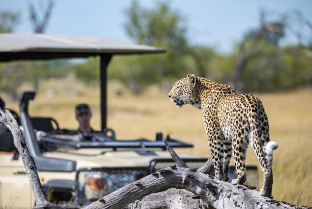 7 Days Tanzania Safari and Culture Experience - Best of Tanzania safari and adventure holiday