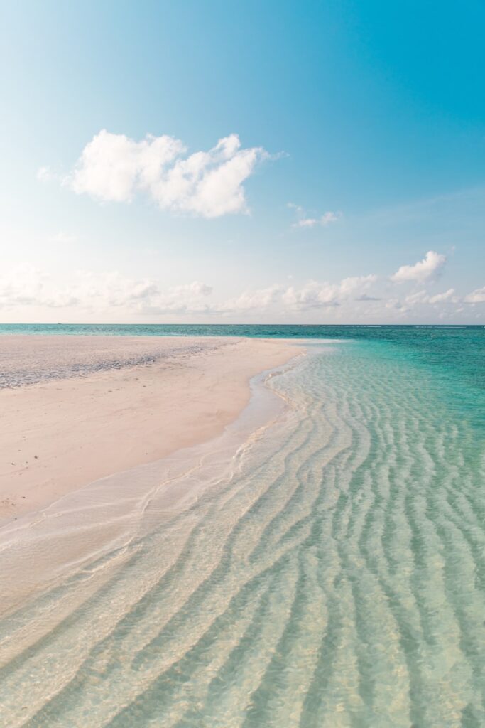 white sand beach during daytime