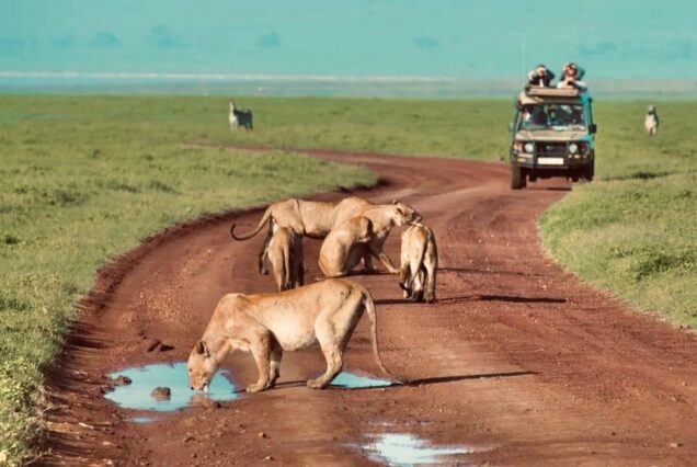 2 Days Unforgetable Safari to Ngorongoro Crater