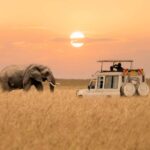 Best time to Visit Serengeti