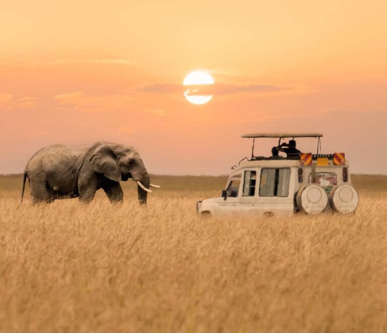 Best time to Visit Serengeti